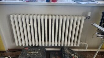 Radiator litina