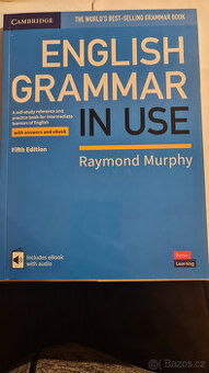 Englisch Grammar in Use