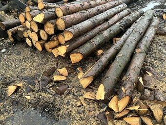 Prodám dřevěné kůly