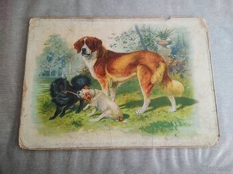 Chromolitografické tisky domácích zvířat