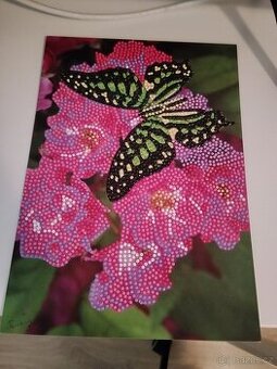 Diamantový obraz s motýlem