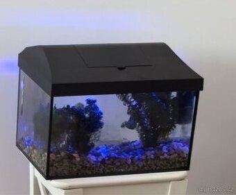 Akvárium, stačí napustit a koupit rybičky