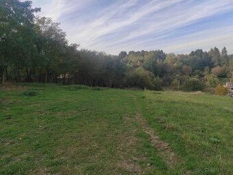 Pronajmu louku - pastvinu 10000 m2