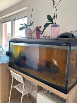 Akvarium waterhome