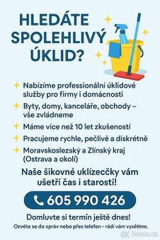 uklid všeho druhů rychle a čisté