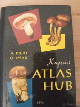 Atlas hub