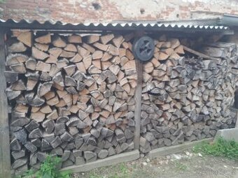 Palivové dřevo