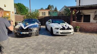 Nevěsta a ženich - ozdoba/dekorace na auto