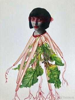 Eva Koťátková - Replanted