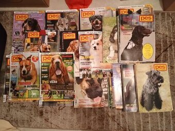 Pes přítel člověka, Svět psů