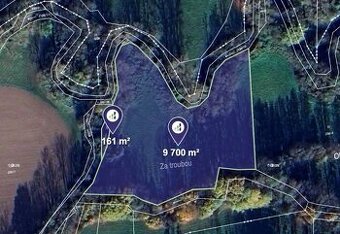 Prodej louky v k.ú. Starý Ples, ev.č. 2025-12-08-082930