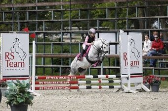 Predam sportovu pony S - 1