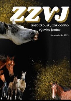 Příprava na ZZVJ - BOOK