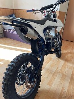 Pitbike shark