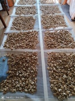 Vlašské loupané ořechy