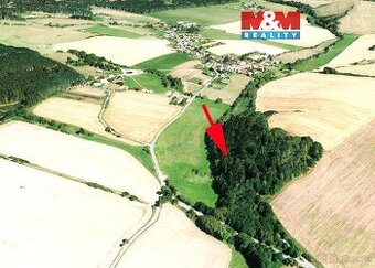 Prodej lesa, louky a vodní plochy, 8352 m², Sedliště