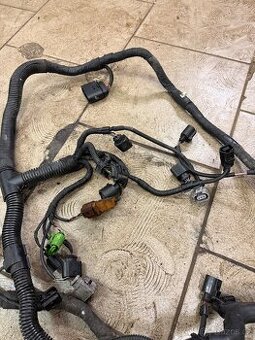 Motorový svátek octavia