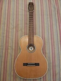 Aleksandra paralol kytara celomasiv z 40 let