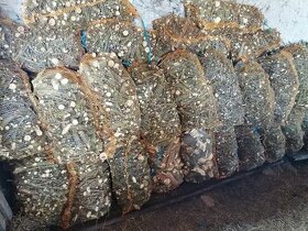 hrubá štěpka špalíky