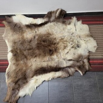 sob, pravá kožešina, kůže 130x126 cm