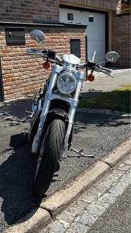 Harley - Davidson, Street Rod ( VR2 ) VRSCR ( dvoubarva ).