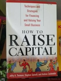 How to raise capital