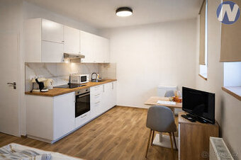 Pronájem zařízeného bytu 1+kk, 29 m2, Jeronýmova, Husinec