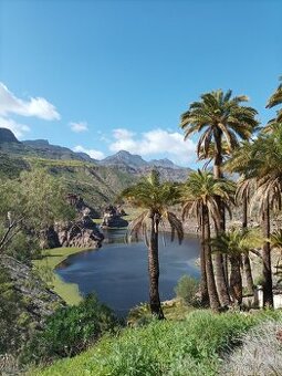 Dovolená Gran Canaria