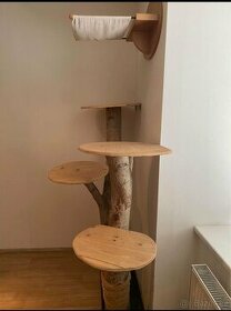 Bytelný kočičí strom z ořechu - 1