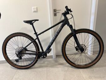 Horské kolo Focus Whistler 3.9 29” Diamond black