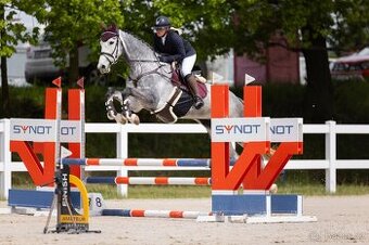 4 letá klisna do vyššího sportu Cornet de Lux