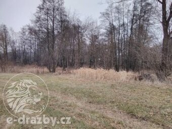 Pozemek, 1 313 m2 , obec a okr. Klatovy, ev.č. 212D16254AP