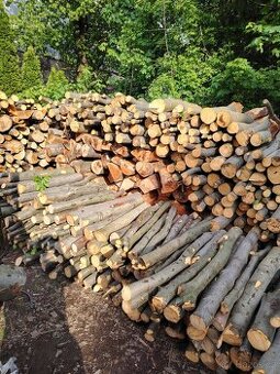 Prodej palivového dřeva