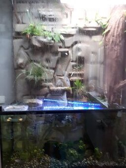 Paludarium - 1
