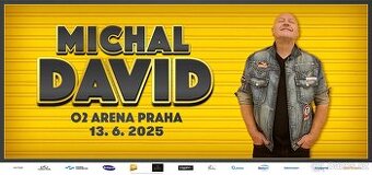Michal David - 2 listky 13.6. 20:00