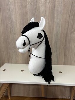 Hobby horse, kůň na tyči