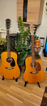 Prodám australskou kytaru Ayers se snímačem