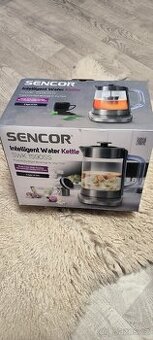 Chytrá rychlovarná konvice