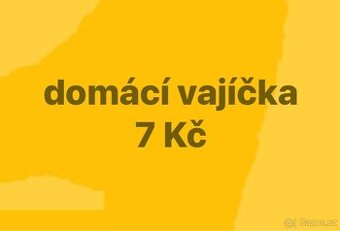 Domácí vajíčka