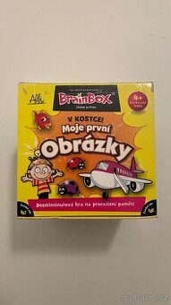 Brain Box - v kostce