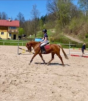 Karavela, Pony B na prodej