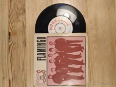 LP vinyl Flamingo - 1