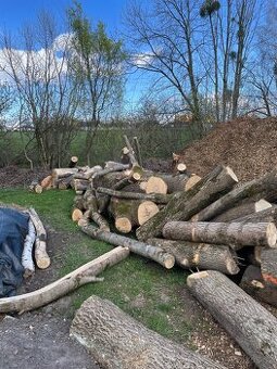 Prodej štípaného dřeva nebo kulatina na topení