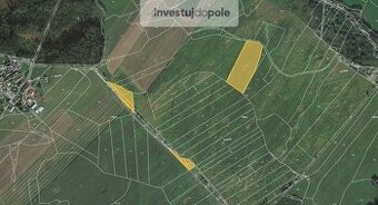 Prodej pole v k.ú. Skořice