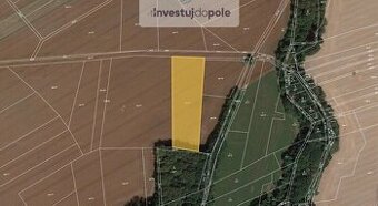 Prodej pole v k.ú. Skotnice - 1