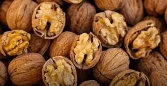 VLAŠSKÉ OŘECHY NELOUPANÉ LETOŠNÍ