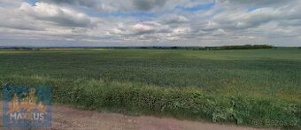 Prodej zemědělského pozemku 8750 m2, obec Veliká Ves u Prahy