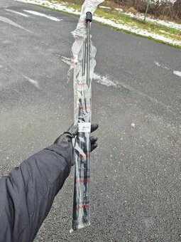 Pneumatická pružina