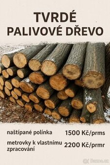 Suché tvrdé dřevo - 1