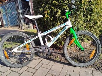 Kolo AUTHOR COSMOS 20